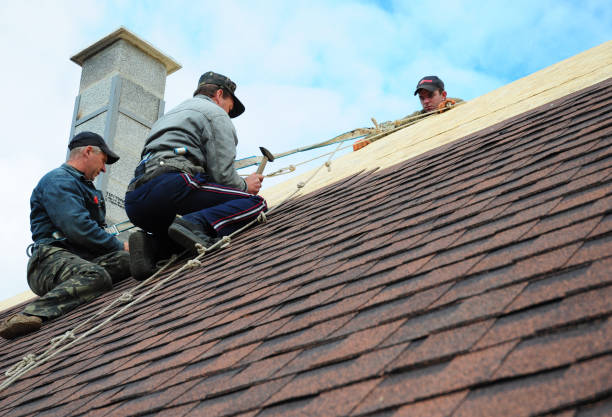 Quick and Trustworthy Emergency Roof Repair Services in Augusta, KY